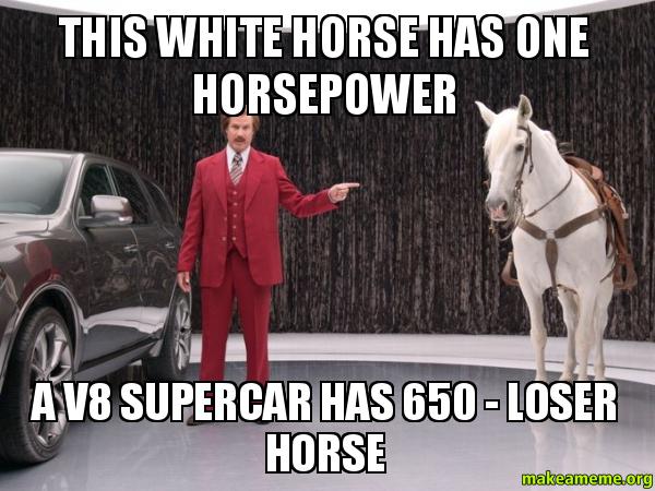 THIS-WHITE-HORSE.jpg