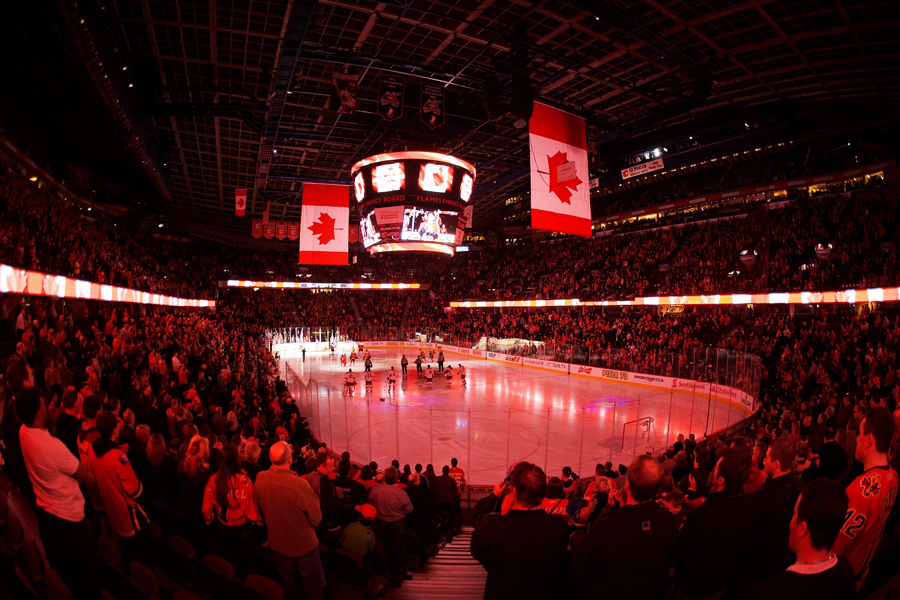 phoenix-coyotes-v-calgary-flames-20130412-192142-624.jpg