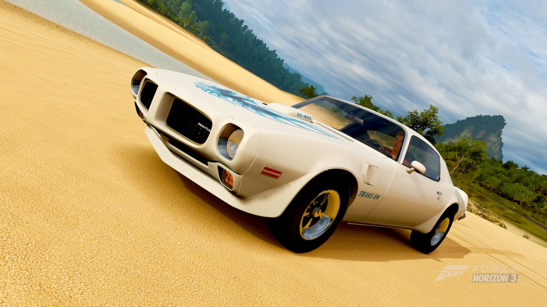 1973_pontiac_firebird_trans_am_sd_455_by_jerichoraccoon941-db52216.jpg