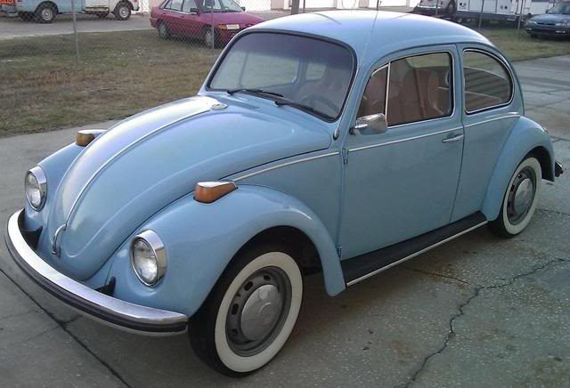 beetle197013673.jpg