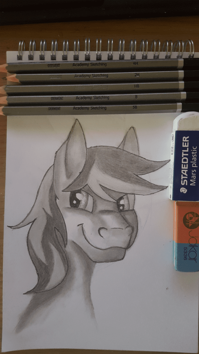 braeburn_portrait_by_ialyrnaeloria-da8740q.png