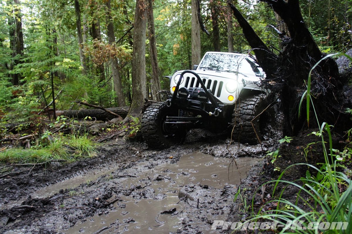 Off-Road-at-Turtle-Ridge-Park.jpg