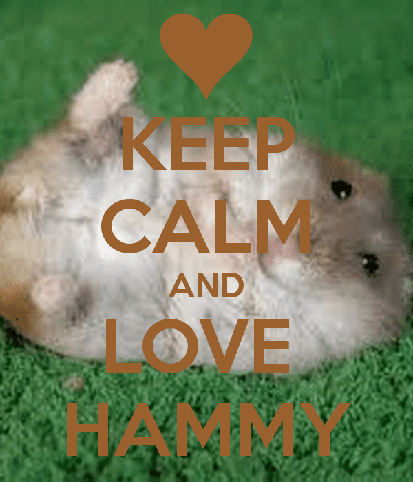 keep-calm-and-love-hammy-4.png