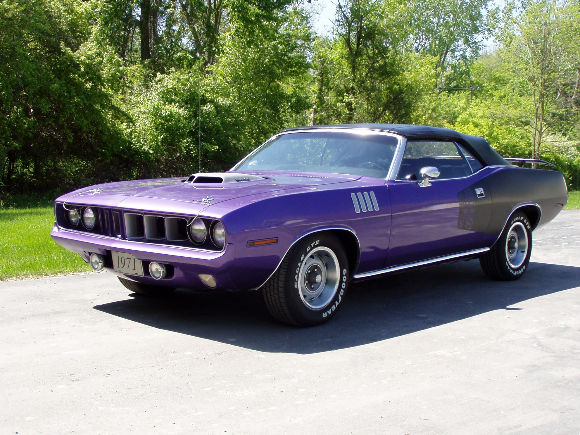 71_cuda_340.jpg