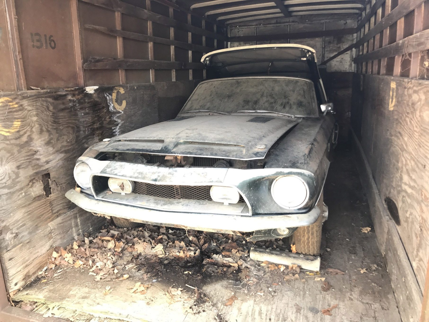 1968-Shelby-GT500KR-Convertible-barn-find-1-1.jpg