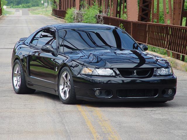2004_ford_mustang_svt_cobra_2_dr_supercharged_coupe-pic-26060.jpeg