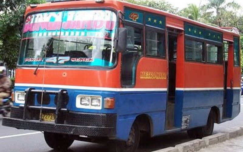 metromini-800x500_c.jpg