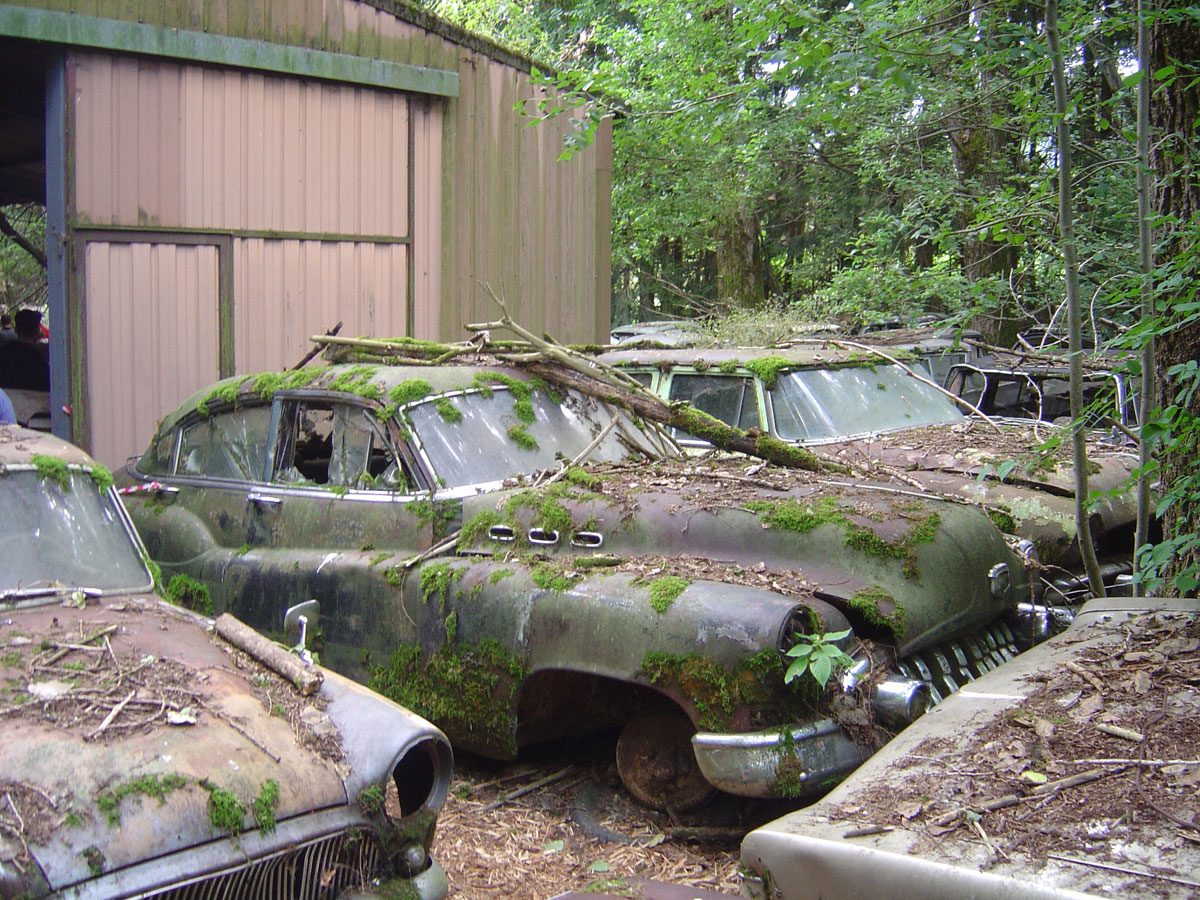 old_abandoned_cars_in_decay_5.jpg
