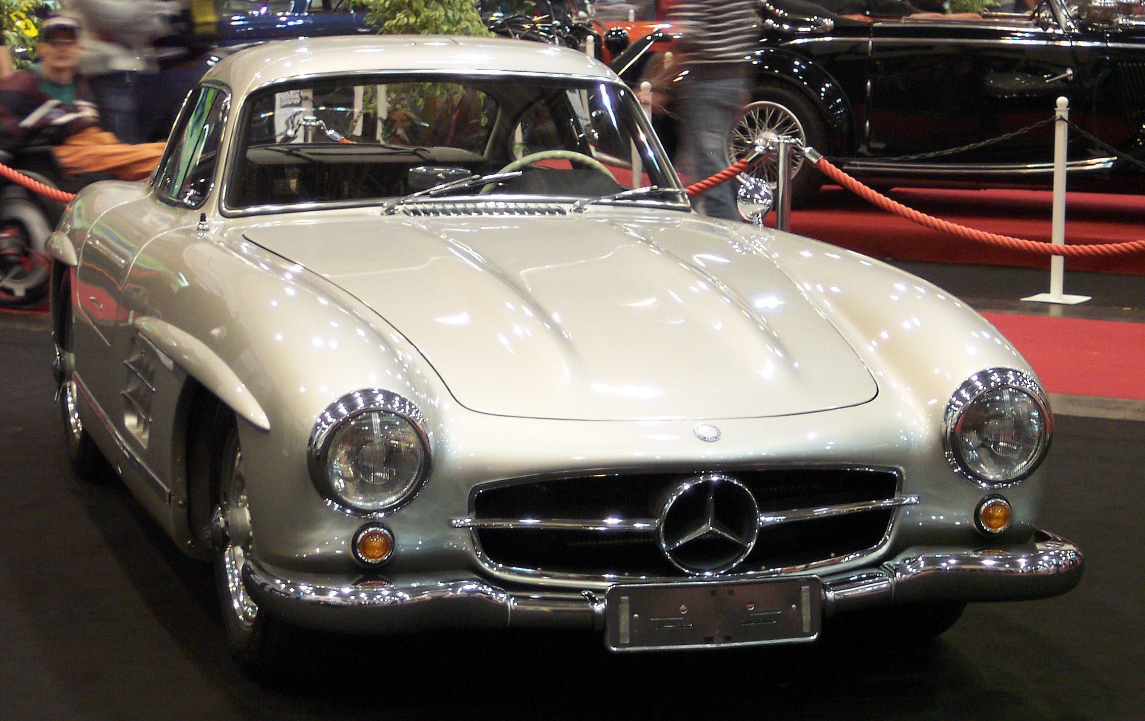 Mercedes_300SL_Coupe_vr_silver_EMS.jpg