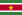 22px-Flag_of_Suriname.svg.png