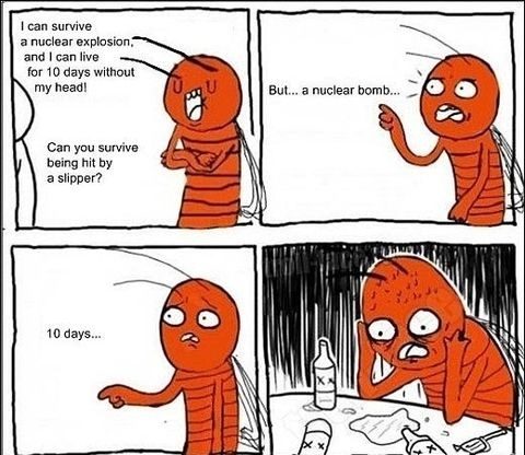 funny-picture-cockroach-life-comics.jpg