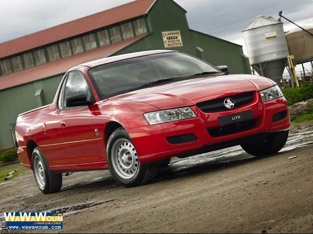 2004_vz_ute_2.jpg