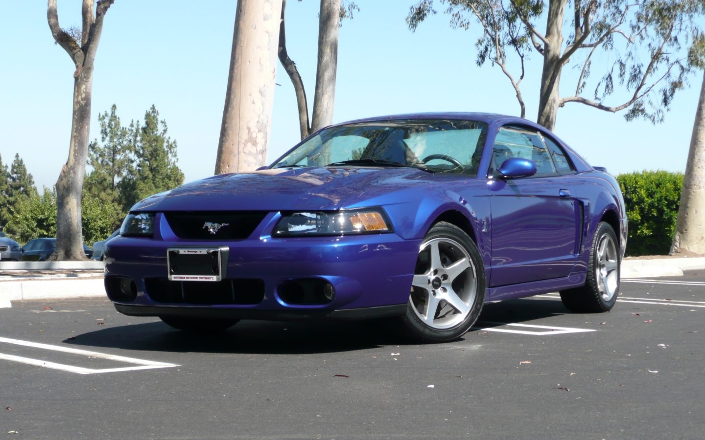 13857-2003-Ford-Mustang.jpg