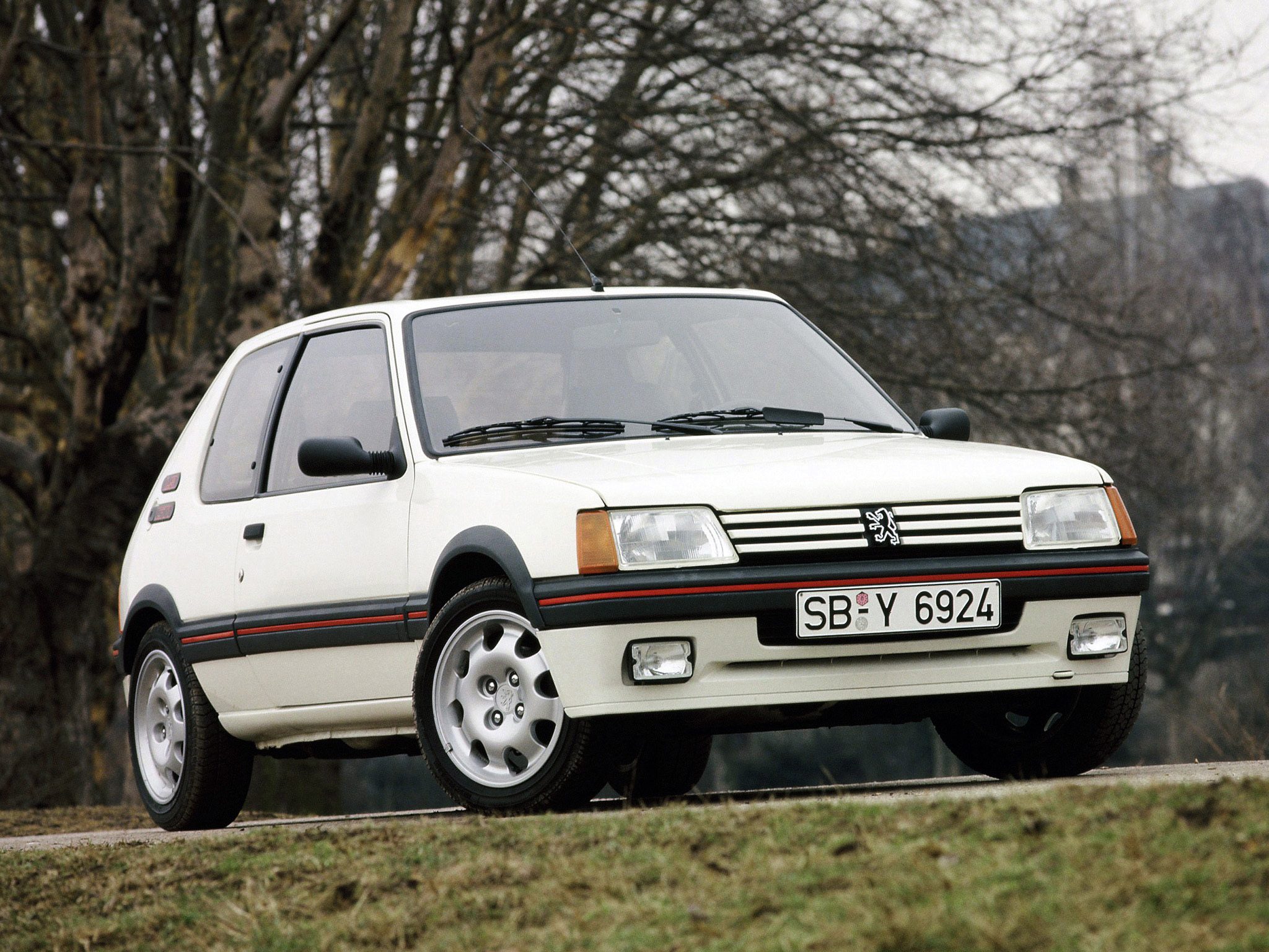 peugeot_205-gti-1984_r14.jpg