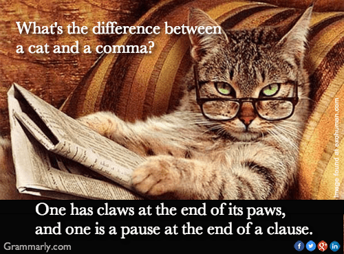 Cat-and-a-Comma.png