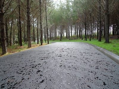 road_finished_rain11.jpg