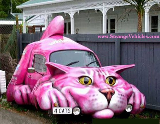 funny%20cat%20car%20strange%20vehicles.jpg