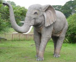 Elephant.01.jpg