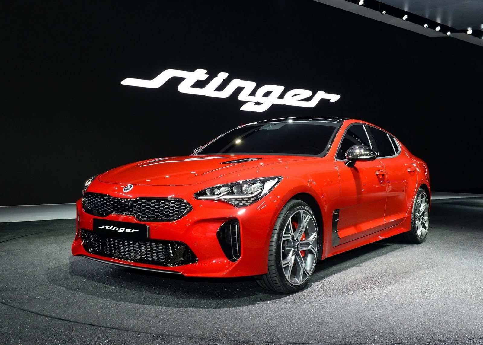 Stinger-11.jpg