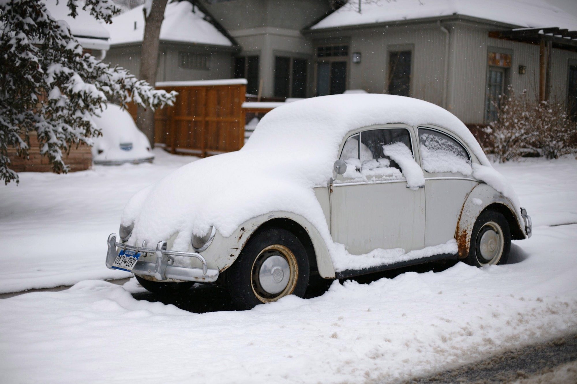 volkswagen-kever-ovaal.jpg