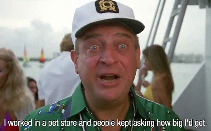 rodney_dangerfield_10.jpg