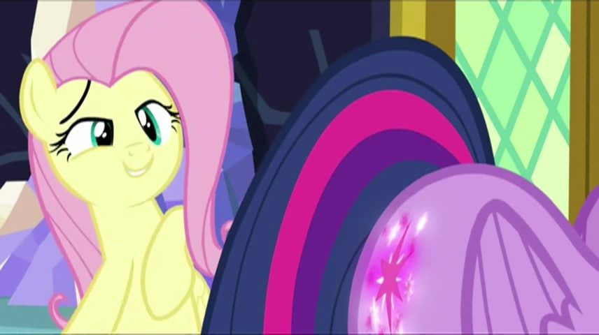 1022668__safe_twilight+sparkle_fluttershy_princess+twilight_plot_dat+plot_spoiler-colon-s05e23.jpeg