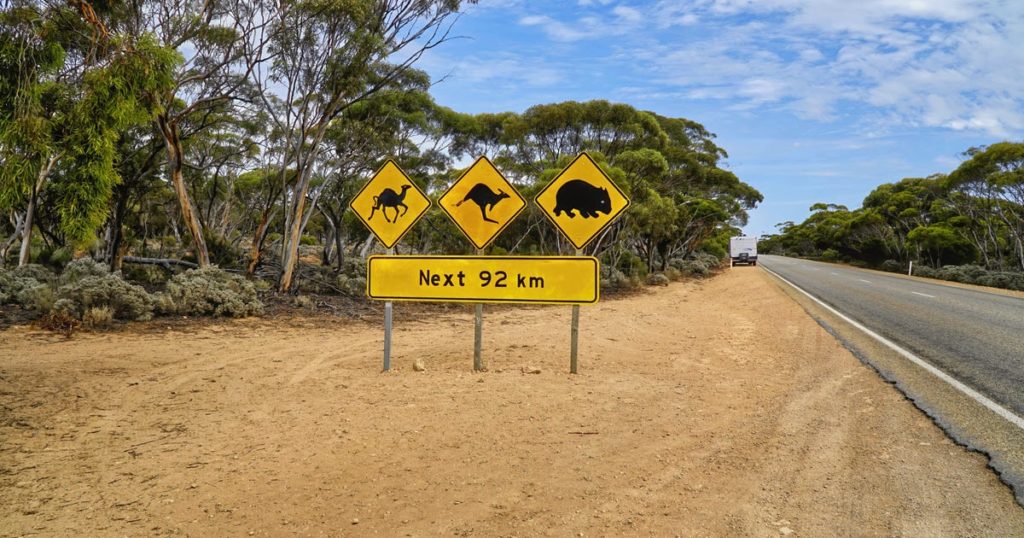australian-road-signs-1024x538.jpg