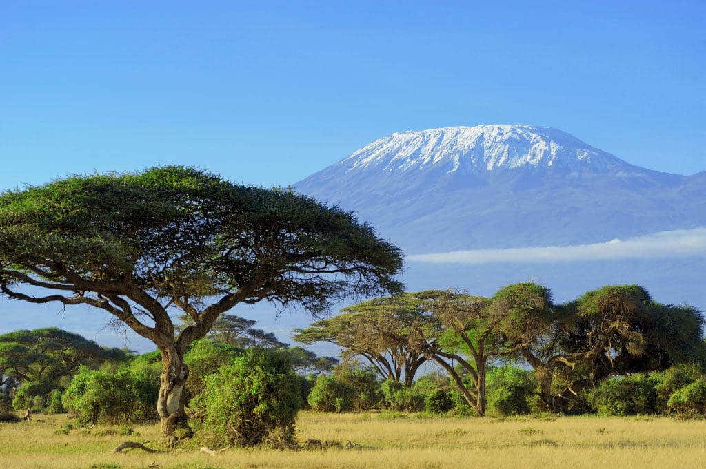 kilimanjaro2.jpg