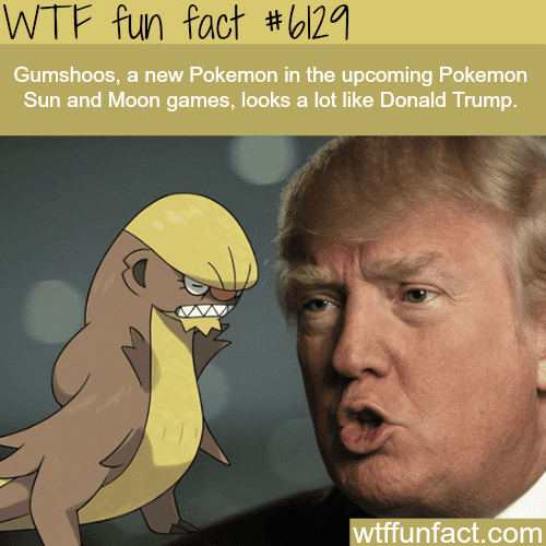 fun-facts-new-pokemon-that-looks-like-donald-trump-wtf.png