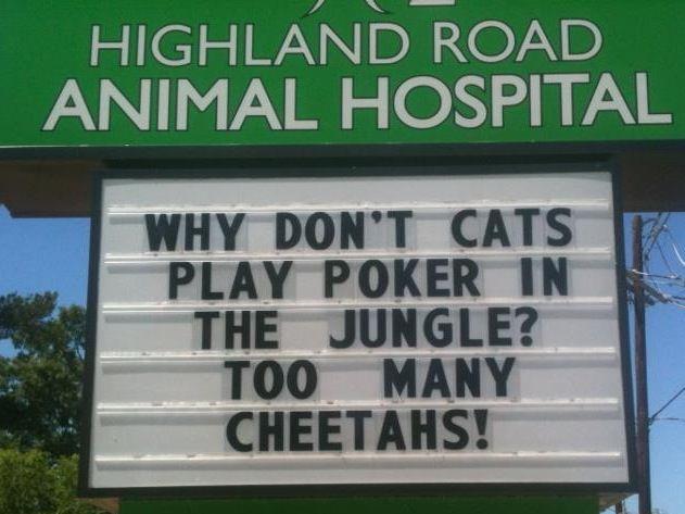 03-funny-vet-signs.jpg