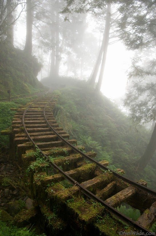 Old+Train+Track%252C+Taiwan+-+Imgur.jpg