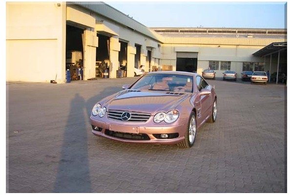 38273d1095583584-pink-sl55-amg-r230_140.jpg