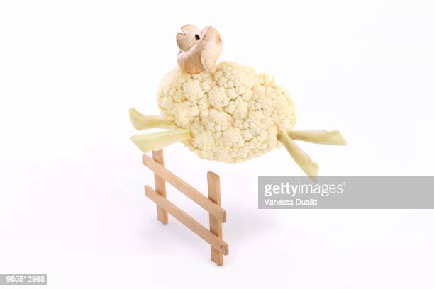 cauliflower-sheep-picture-id985812968