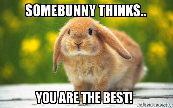 somebunny-thinks-you.jpg