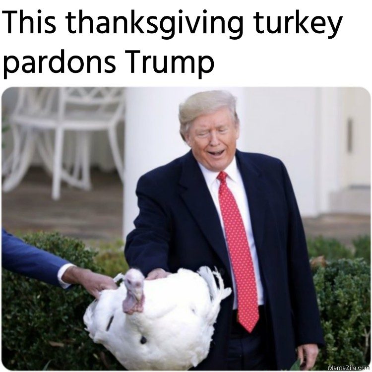 This-thanksgiving-turkey-pardons-Trump-meme-8224.png