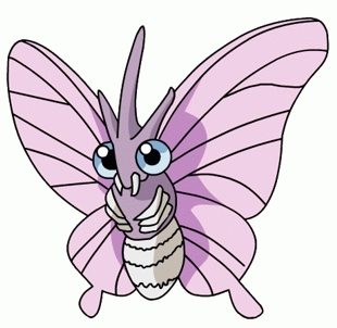 venomoth.jpg