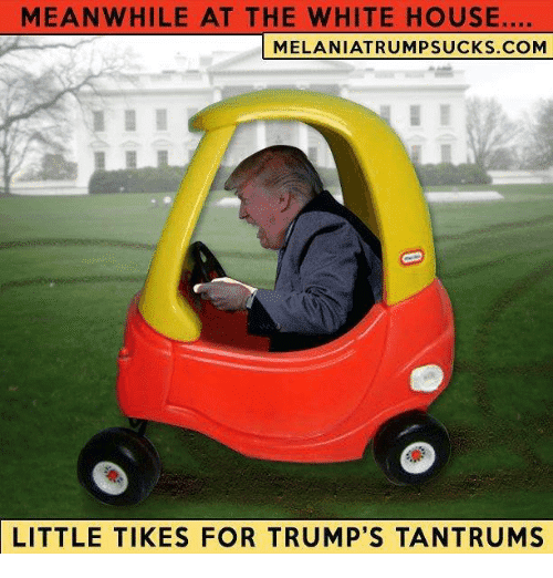 meanwhile-at-the-white-house-melaniatrumpsucks-com-little-tikes-for-trumps-28602434.png