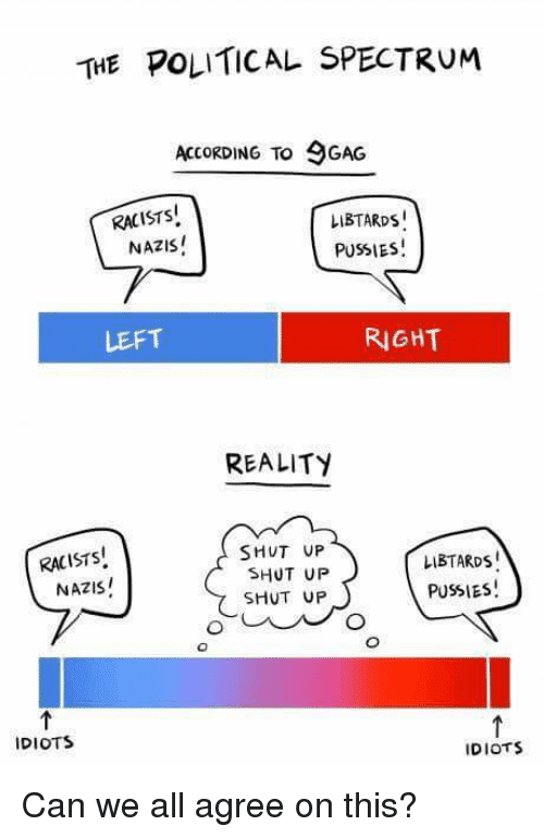 the-political-spectrum-according-to-9gag-racists-libtards-nazis-pussies-14965289.png