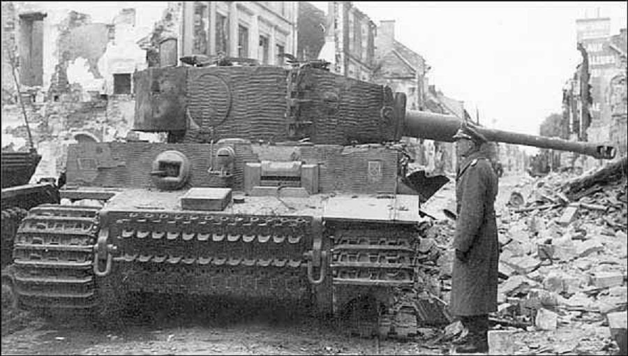 tiger-1.jpg