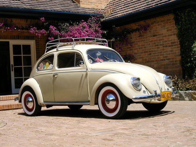 1954_volkswagen_beetle-pic-32551-640x480.jpeg