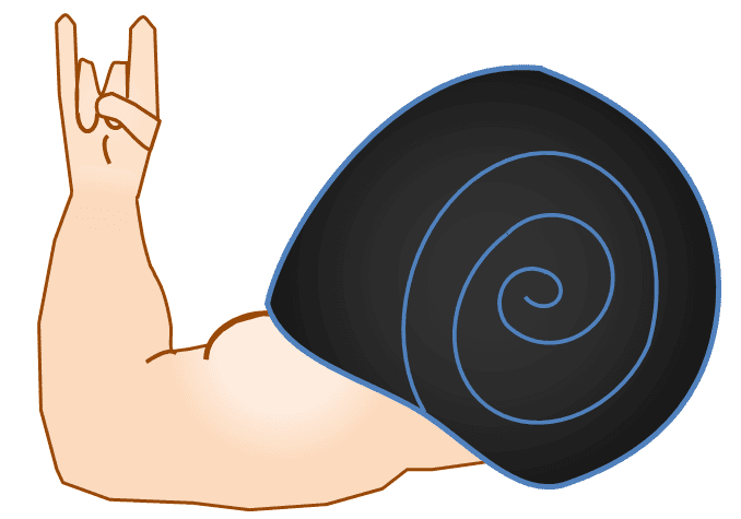 snail+flex.PNG