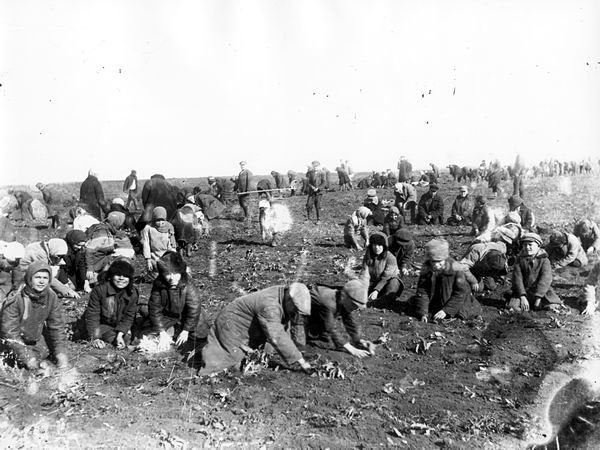 Children_are_digging_up_frozen_potatoes_in_the_field_of_a_collective_farm._Udachne_village%2C_Donec%E2%80%99k_oblast._1933.jpg