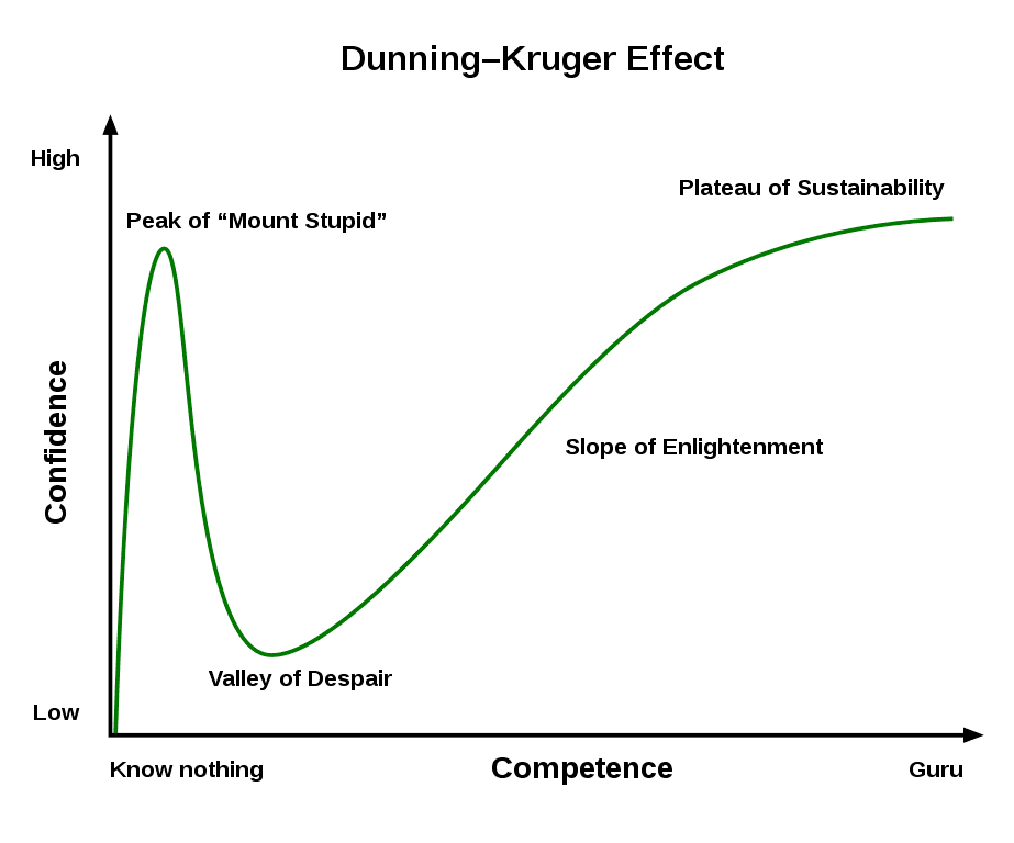 923px-Dunning%E2%80%93Kruger_Effect_01.svg.png