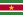 23px-Flag_of_Suriname.svg.png