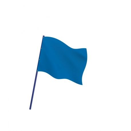 drapeau-de-course-automobile-bleu.jpg