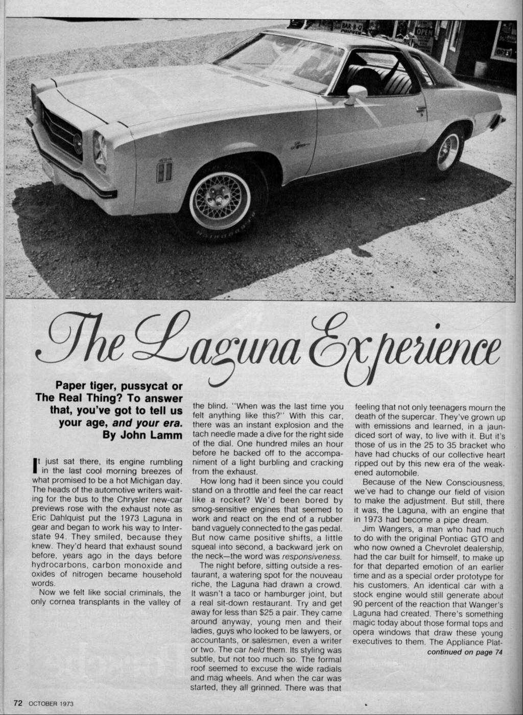 73LagunaExperience1.jpg