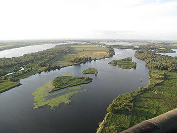 biesbosch-550-resized.jpg