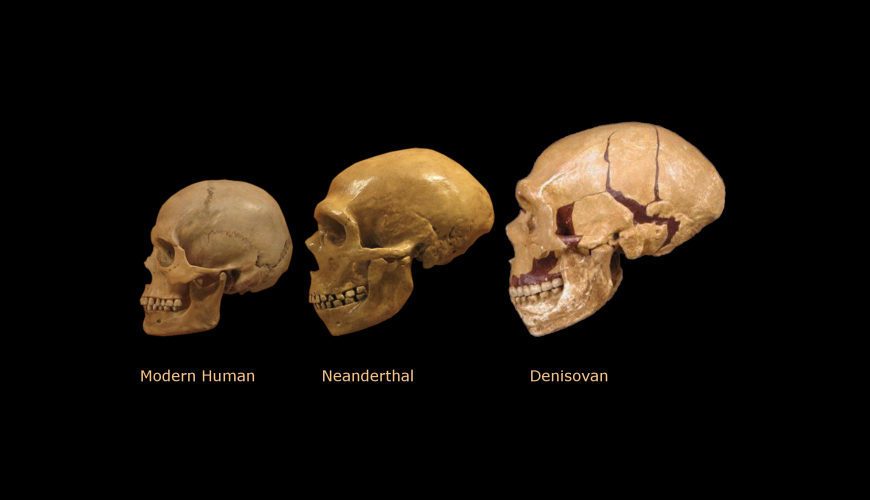 who_are_the_denisovans_and_how.jpg