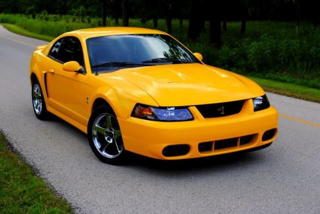 2004_mustang_cobra_04.jpg