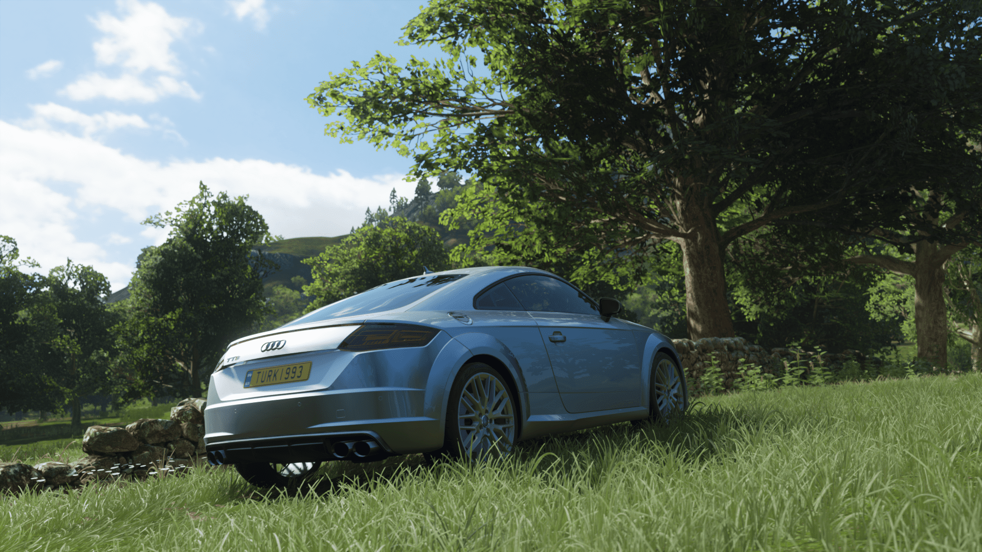 Audi Tts Coupe Forza Horizon 4